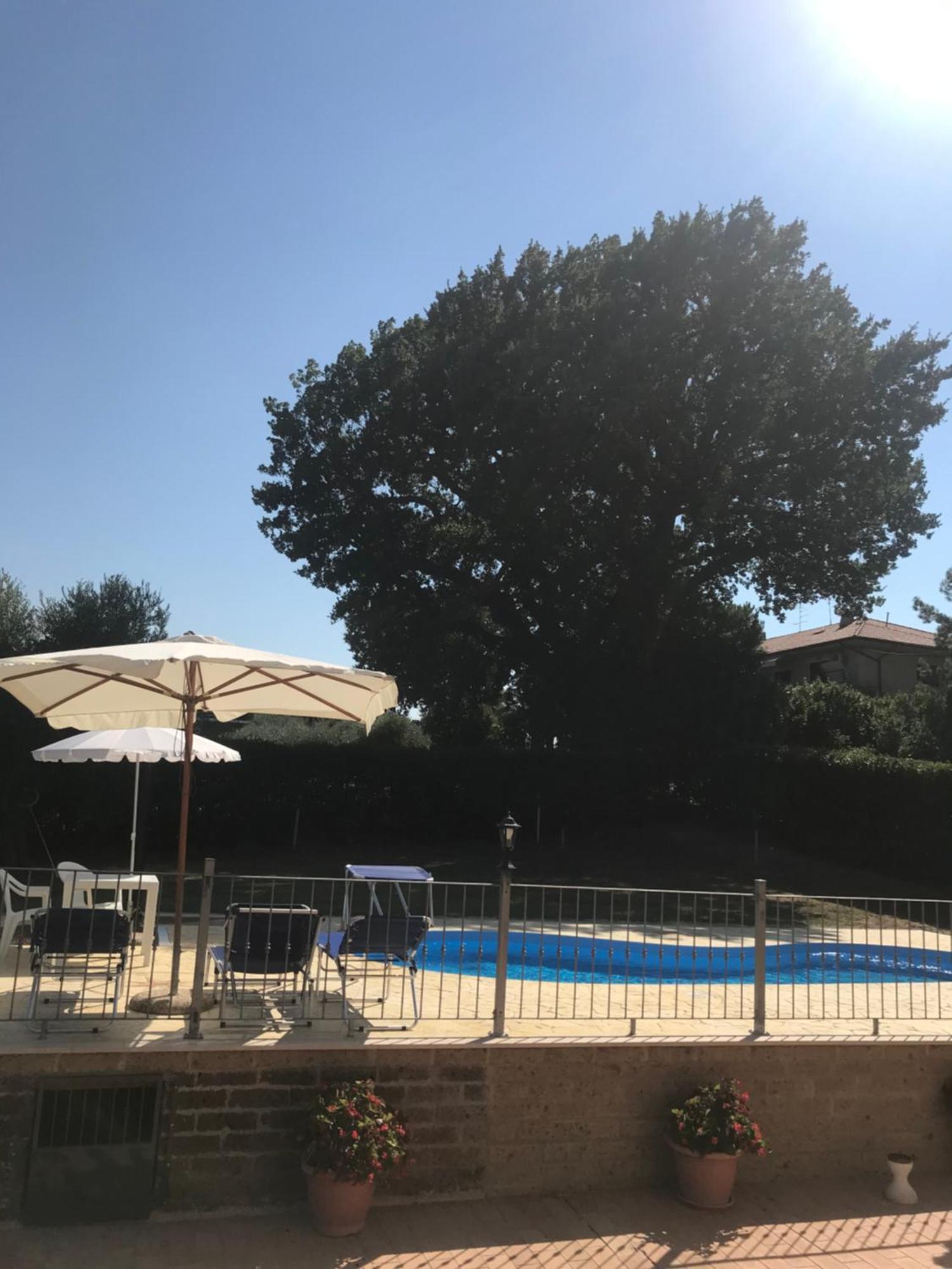 Agriturismo Cerquatonda Montalto delle Marche Esterno foto