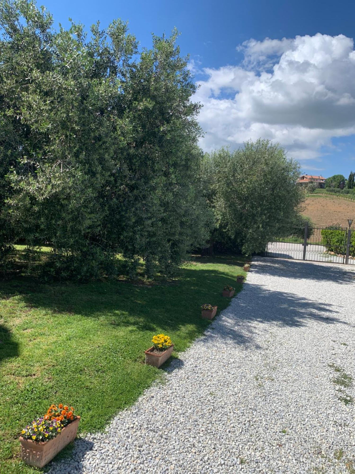 Agriturismo Cerquatonda Montalto delle Marche Esterno foto